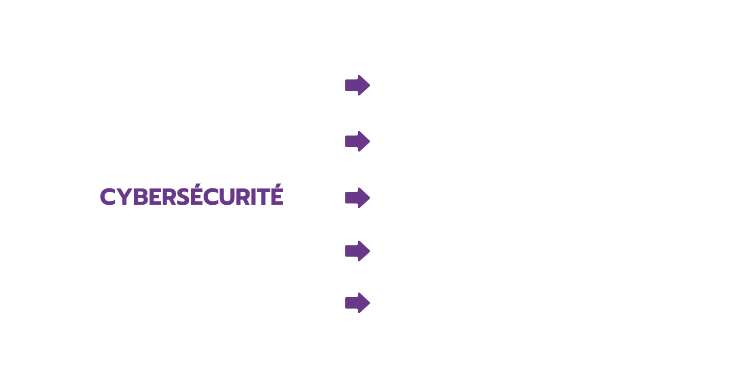 Cybersecurite